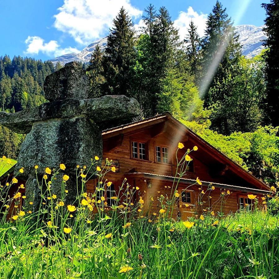 Alpenlodge Willigen Exterior foto